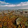 Victoria Popova. «Primorye region. Low-tide.» Victoria Popova. «Primorye region. Low-tide.»